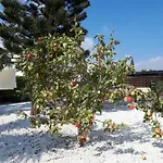 Bouboulina Cyprus 圣纳帕