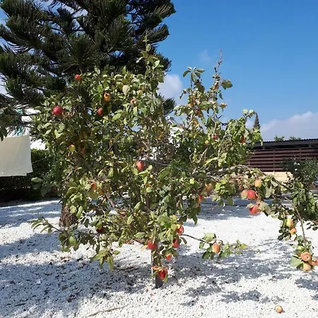 Bouboulina Cyprus איה נאפה