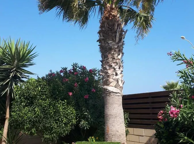 Bouboulina Cyprus Ayía Nápa