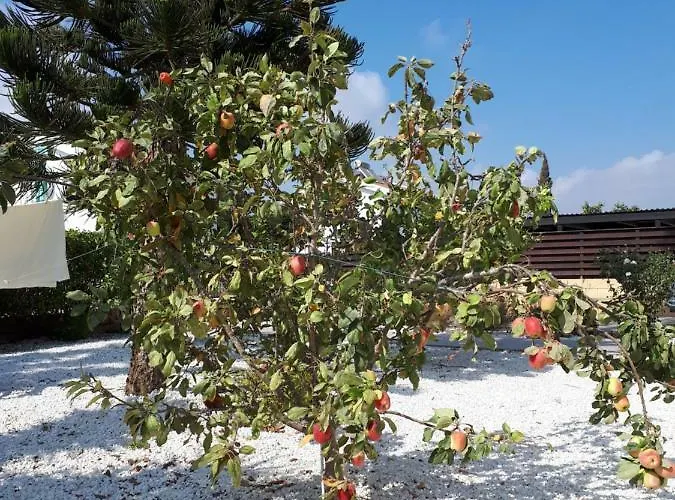 Bouboulina Cyprus Ayía Nápa